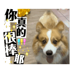 mawan is playing here