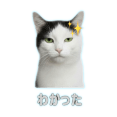 nagisa_20250920145937