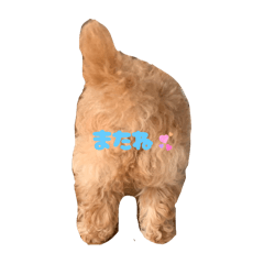 mumu_20250920180517