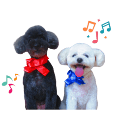 Sarah_20250918214049