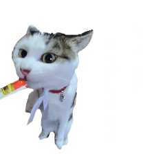 me-ya