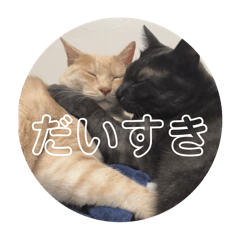 Shiho_20250921181149