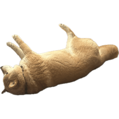 ohagi_20250921213926