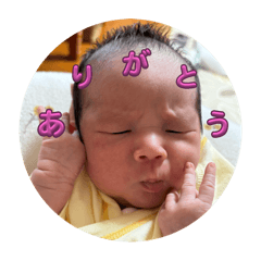 Mikan_20250921214153