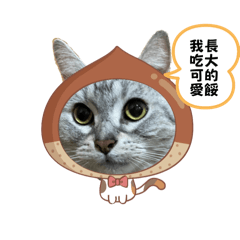 已經當天使的小寶貝❤️