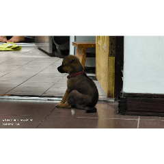 請勿購買我沒有要賣