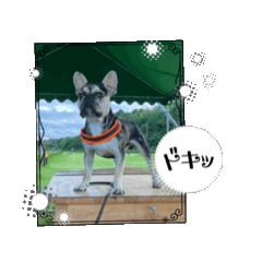 kaori_20250921222554
