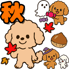 秋♡ず～っと使える♡トイプードル BIG