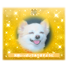 Eri Amaji_20250919150937