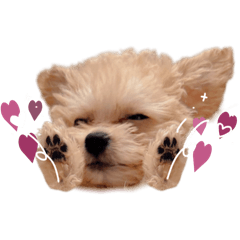 yunomama_20250919160008