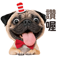 百變巴哥-巴吉-日常對話v2（中文版）