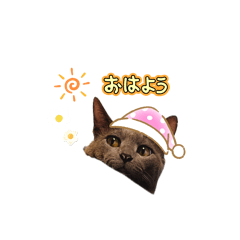 kanae_20250919190834