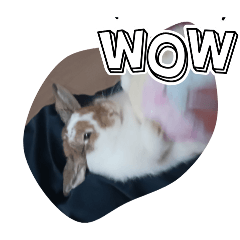 omochi_20250919185153