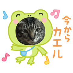 NATSUMI_20250921165730