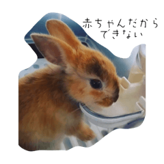Haru Japanese brown Rabbit sticker vol.2