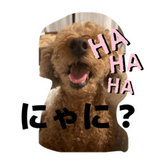 亀のスタンプです