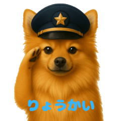 Pomeranian Daily use Stickers