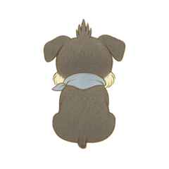 Sweet and Lovely Schnauzer Life