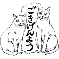 猫の気持ち・白猫編