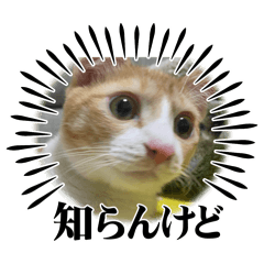 yukinko_20250919211557