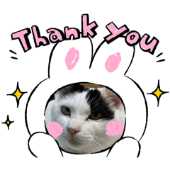 Shiho_20250921153023