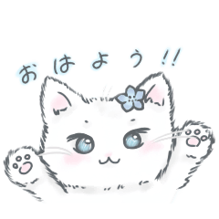 SumiRe_20250920004145