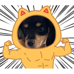 Tommy_20250920191428