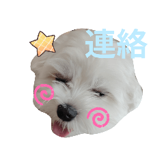 natsumi_20250921174056