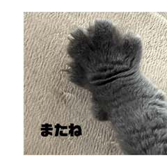 BURIO_20250921211726