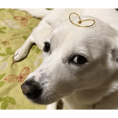 mushichan_20250922042826