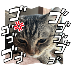 6NYANZ_20250920091534