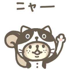 連絡用❤️リスのしましま