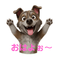 表情ワンコの日常