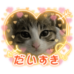 6NYANZ_20250920112126