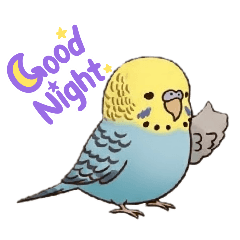 Betty_20250920121316