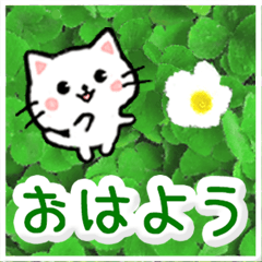 動く☆大人やさしい野の花とネコ