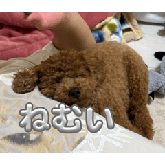 hannah_20250921222456