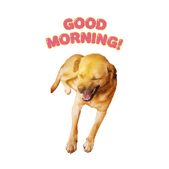 乖巧黃狗日常語錄