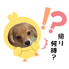 m_20250921222212