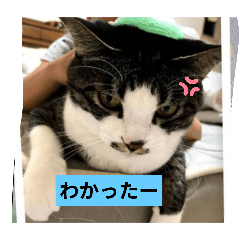 kaori_20250921172236