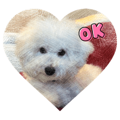 NANA18_20250921215540