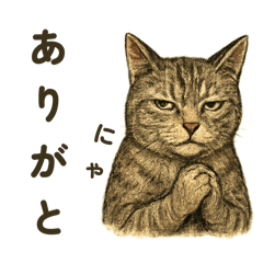 animal  stamp real and cute