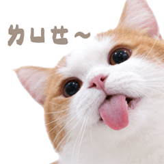 燙凍暖洋 - 日常篇01