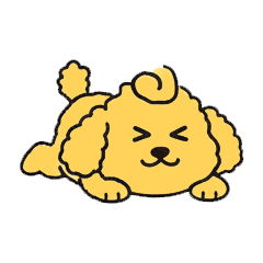 Three cute toy poodles