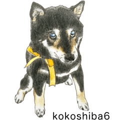 kokoshiba sticker 6