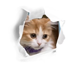 Motin_20250920180655