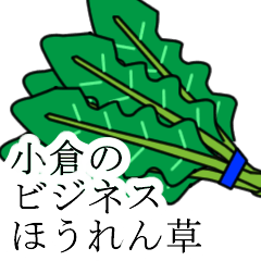 ogura no bijinesu hourensou