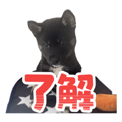 kurumi_20250920220929