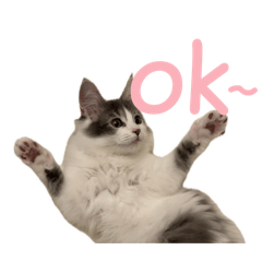 russianblue_10_20250920222525