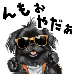 Rock and flamboyant Black Pekingese